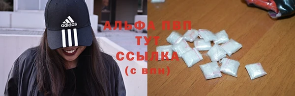 винт Дмитриев