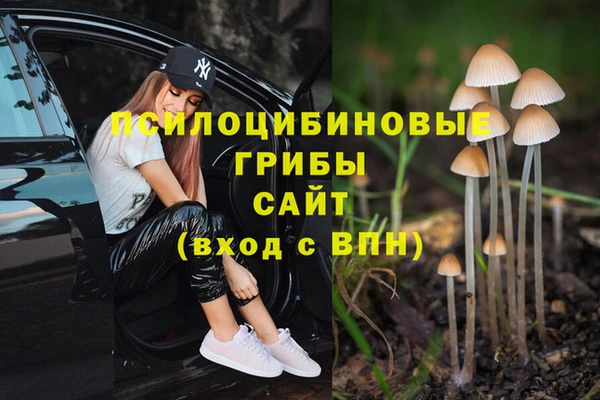 прущий лед Навашино