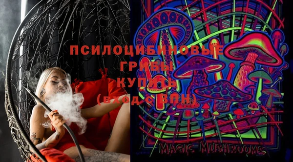 кокс Дмитровск