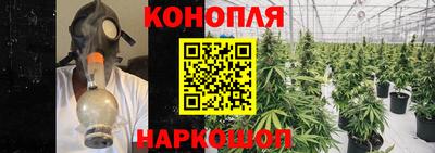 каннабис Будённовск