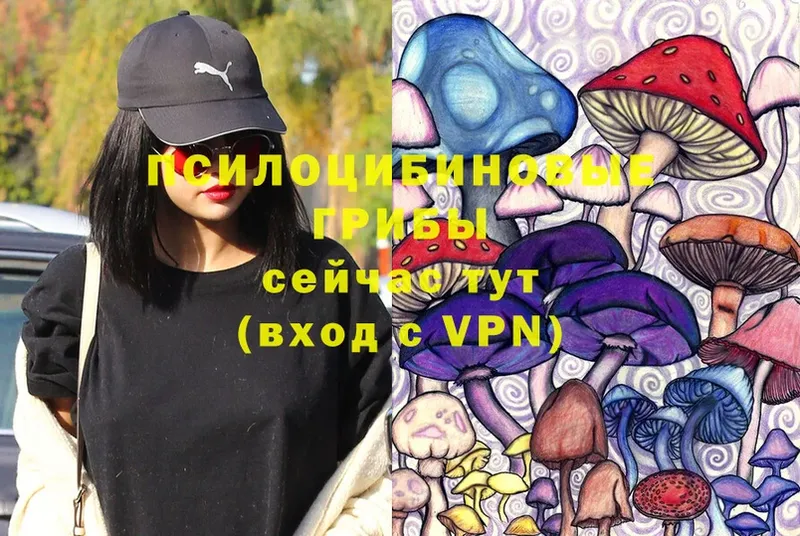 Псилоцибиновые грибы Magic Shrooms Киров