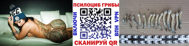 Галлюциногенные грибы прущие грибы купить закладку Киров