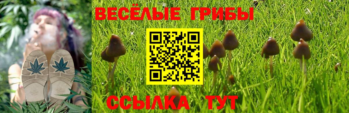 Псилоцибиновые грибы Cubensis  Галлюциногенные грибы Magic Shrooms  Киров 