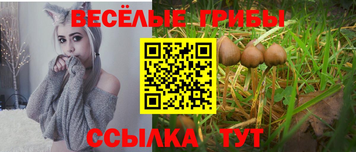 Галлюциногенные грибы мухоморы  Галлюциногенные грибы GOLDEN TEACHER  Вход с VPN  купить наркотики цена  Киров 