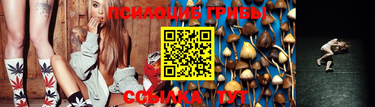 Псилоцибиновые грибы мицелий Киров